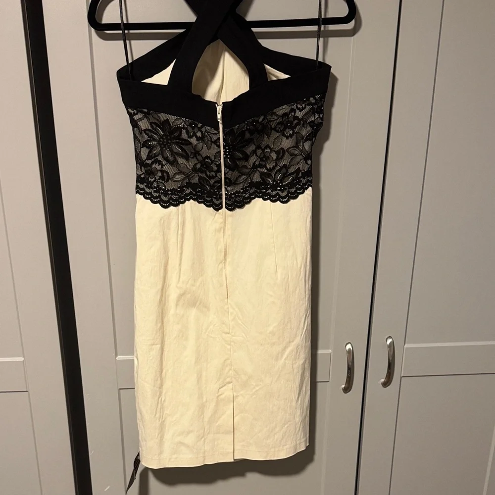 NWT Elegant Black and Cream Lace Dress - Picture 4 of 4